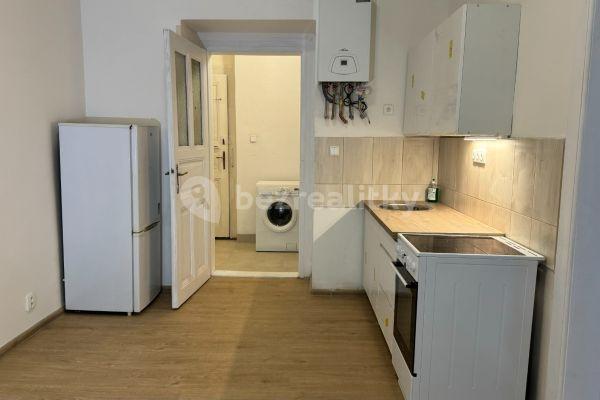 1 bedroom with open-plan kitchen flat to rent, 42 m², Heydukova, Hlavní město Praha
