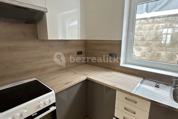 1 bedroom with open-plan kitchen flat to rent, 61 m², Školská, Smečno