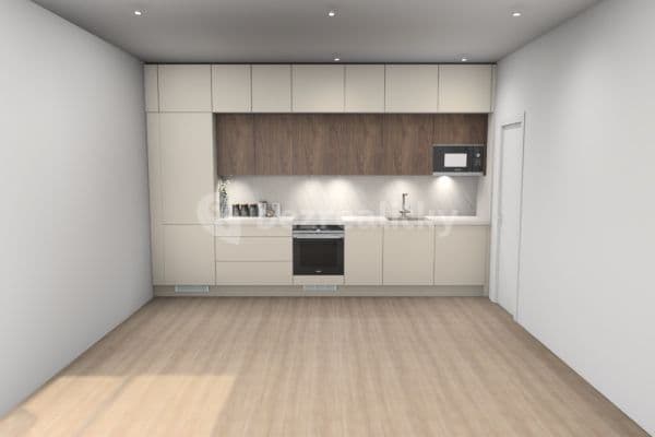 1 bedroom with open-plan kitchen flat to rent, 43 m², Bolzanova, Brno