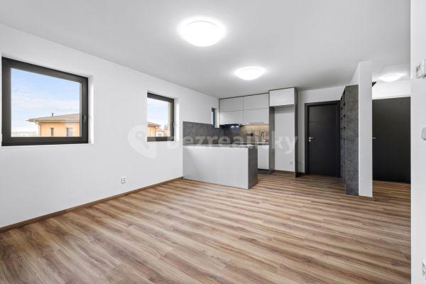 2 bedroom with open-plan kitchen flat for sale, 56 m², V pěšinkách, 