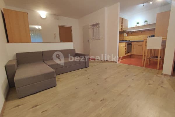 1 bedroom with open-plan kitchen flat to rent, 35 m², Ružinovská, Hlavní město Praha