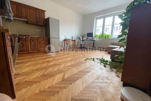 1 bedroom with open-plan kitchen flat to rent, 58 m², Poupětova, Praha