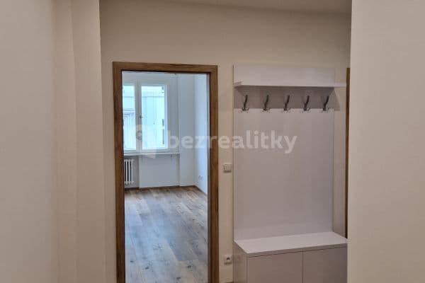 1 bedroom with open-plan kitchen flat to rent, 53 m², Janovského, Praha