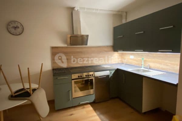 1 bedroom with open-plan kitchen flat to rent, 36 m², Gagarinova, Liberec