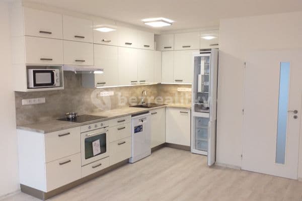2 bedroom with open-plan kitchen flat to rent, 77 m², Generála Janouška, Praha 2 bedroom with open-plan kitchen flat to rent, 77 m², Generála Janouška, Praha