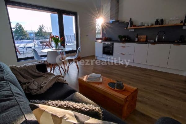 1 bedroom with open-plan kitchen flat to rent, 45 m², Měřičkova, Brno