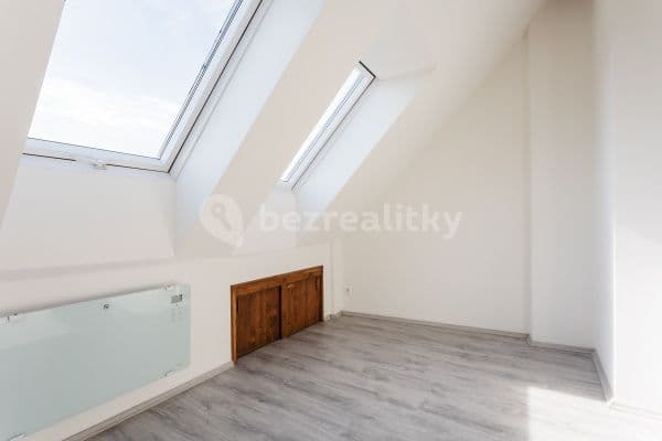 1 bedroom with open-plan kitchen flat to rent, 27 m², Davídkova, Hlavní město Praha