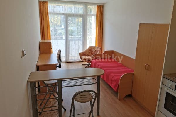 Small studio flat to rent, 30 m², Raisova, Brno
