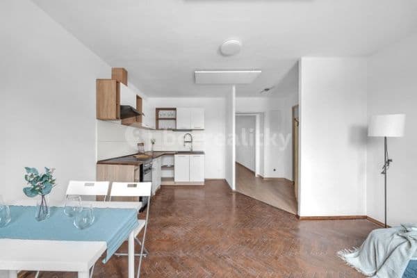 1 bedroom with open-plan kitchen flat to rent, 45 m², Pivovarská, Cvikov