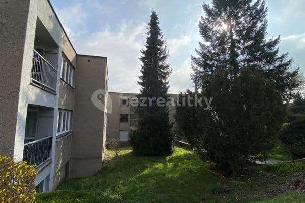 1 bedroom with open-plan kitchen flat to rent, 46 m², Lesní, 