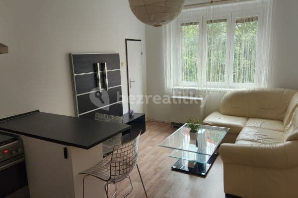 1 bedroom with open-plan kitchen flat to rent, 51 m², Doudlebská, Praha