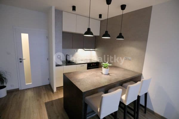 1 bedroom with open-plan kitchen flat to rent, 42 m², Nad Opatovem, Hlavní město Praha