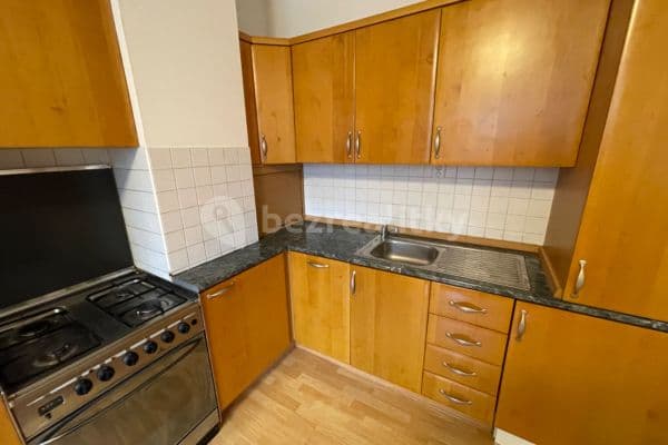 1 bedroom with open-plan kitchen flat to rent, 50 m², Vychodilova, Brno
