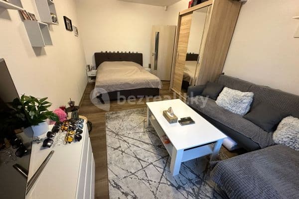 1 bedroom with open-plan kitchen flat to rent, 41 m², Sochorova, Vyškov