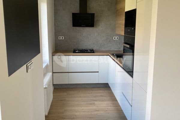 1 bedroom with open-plan kitchen flat to rent, 52 m², Mongolská, Ostrava, Moravskoslezský Region