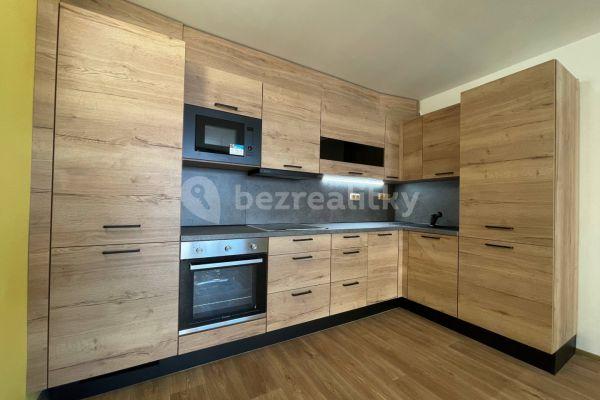 1 bedroom with open-plan kitchen flat for sale, 39 m², Dlouhá, České Budějovice, Jihočeský Region