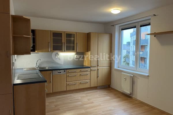 1 bedroom with open-plan kitchen flat to rent, 53 m², Ve Slatinách, Praha