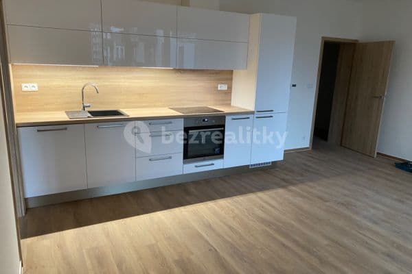 1 bedroom with open-plan kitchen flat to rent, 59 m², Střední, Brno