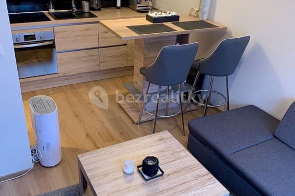 1 bedroom with open-plan kitchen flat to rent, 40 m², K Vystrkovu, Praha