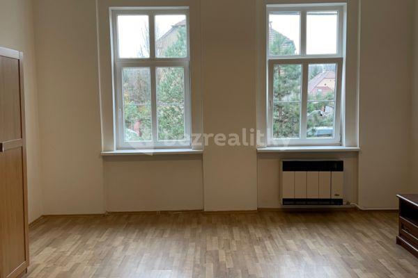 1 bedroom with open-plan kitchen flat to rent, 53 m², Letecká, Libčice nad Vltavou