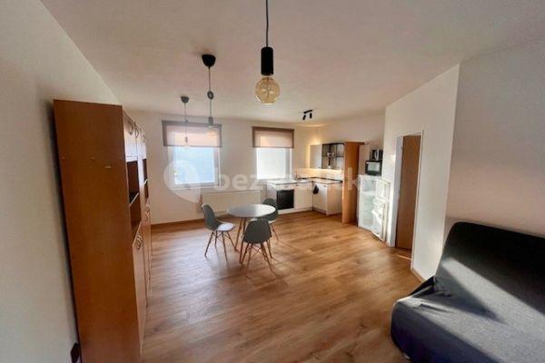 1 bedroom with open-plan kitchen flat to rent, 48 m², Geislerova, Brno