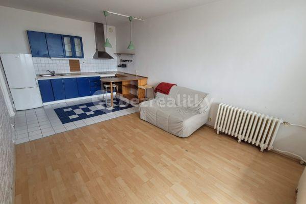 1 bedroom with open-plan kitchen flat to rent, 51 m², Jemnická, Praha
