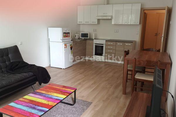 1 bedroom with open-plan kitchen flat to rent, 57 m², Klaricova, České Budějovice