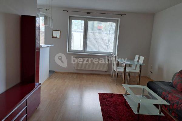 1 bedroom with open-plan kitchen flat to rent, 55 m², Kavčí, Brno