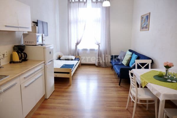 Studio flat to rent, 48 m², Ruská, Teplice