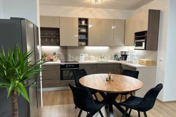 1 bedroom with open-plan kitchen flat to rent, 80 m², Zapova, Praha
