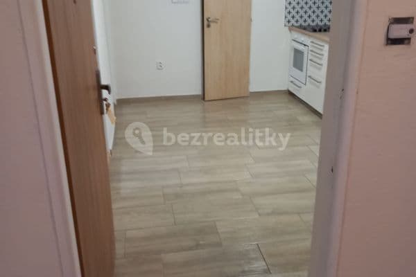 1 bedroom with open-plan kitchen flat to rent, 37 m², Jirečkova, Praha