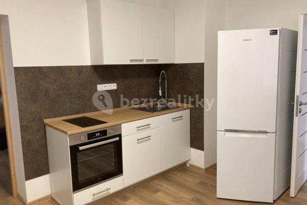 1 bedroom with open-plan kitchen flat to rent, 50 m², K Dolu Marie, Příbram, Středočeský Region
