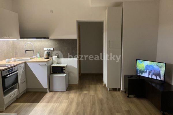 1 bedroom with open-plan kitchen flat to rent, 50 m², K Dolu Marie, Příbram