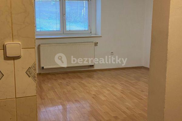 1 bedroom with open-plan kitchen flat to rent, 43 m², Mělnická, Bořanovice