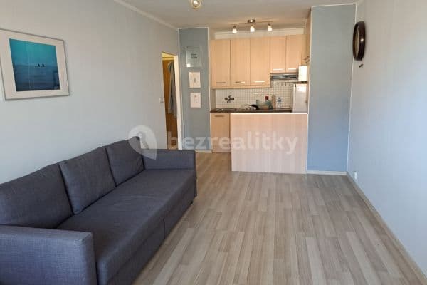 1 bedroom with open-plan kitchen flat to rent, 40 m², Svojetická, Praha 1 bedroom with open-plan kitchen flat to rent, 40 m², Svojetická, Praha