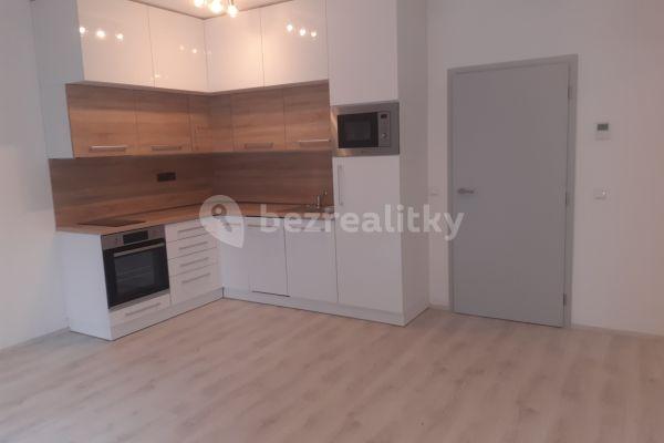 1 bedroom with open-plan kitchen flat to rent, 43 m², Edmunda Husserla, Olomouc, Olomoucký Region