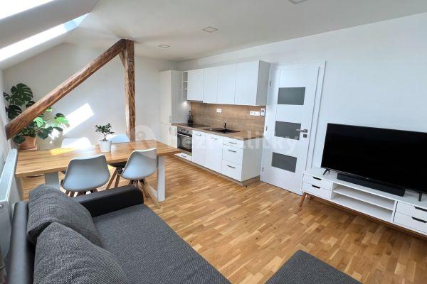 1 bedroom with open-plan kitchen flat to rent, 43 m², Brno