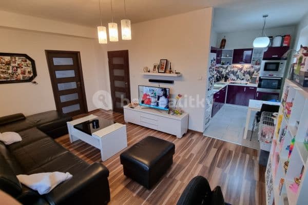 1 bedroom with open-plan kitchen flat for sale, 57 m², Starobělská, Ostrava