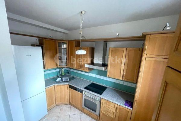 1 bedroom with open-plan kitchen flat to rent, 53 m², Vodova, Brno
