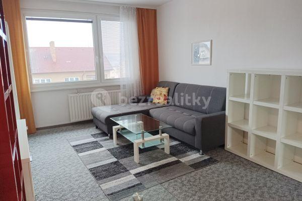 1 bedroom with open-plan kitchen flat for sale, 43 m², B. Němcové, 