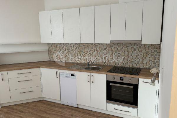 1 bedroom with open-plan kitchen flat to rent, 43 m², Dubinská, Pardubice