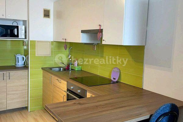 1 bedroom with open-plan kitchen flat to rent, 40 m², Holandská, Kladno