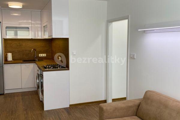 1 bedroom with open-plan kitchen flat to rent, 41 m², Bítovská, Praha