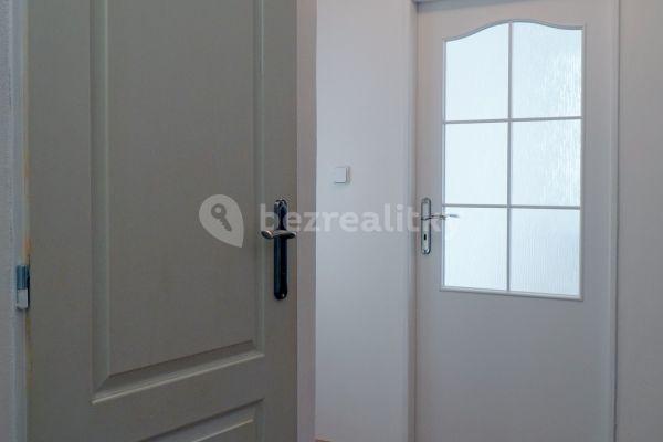 1 bedroom with open-plan kitchen flat to rent, 45 m², Skuteckého, Hlavní město Praha