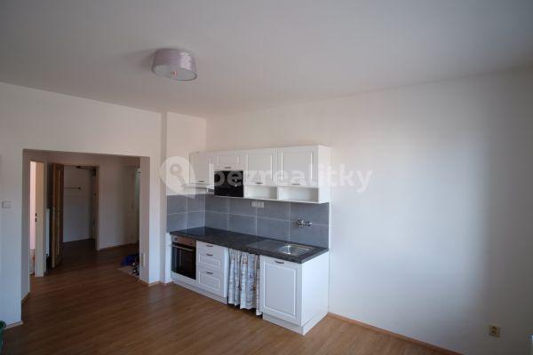 1 bedroom with open-plan kitchen flat to rent, 40 m², Českobrodská, Hlavní město Praha