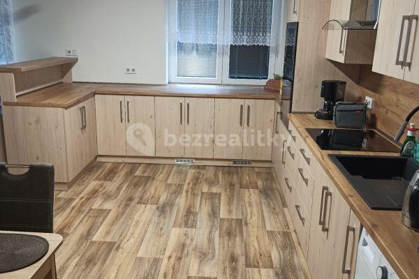 1 bedroom with open-plan kitchen flat to rent, 70 m², Filipová