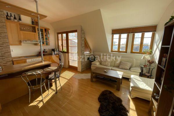 1 bedroom with open-plan kitchen flat to rent, 55 m², Na Okraji, Praha