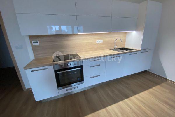 1 bedroom with open-plan kitchen flat to rent, 61 m², Střední, Brno
