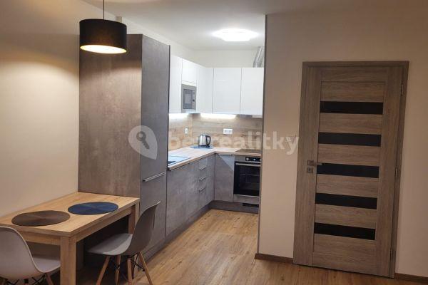 1 bedroom with open-plan kitchen flat to rent, 50 m², Podkrušnohorská, Litvínov