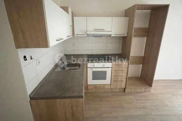 1 bedroom with open-plan kitchen flat to rent, 43 m², Dačického, Praha